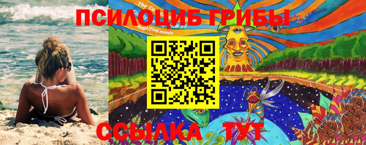 Псилоцибиновые грибы Magic Shrooms  Вход с VPN  Карачаевск 