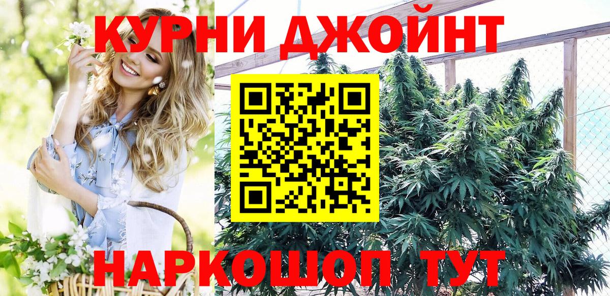 Канабис гибрид  Каннабис OG Kush  Карачаевск  Вход с VPN 